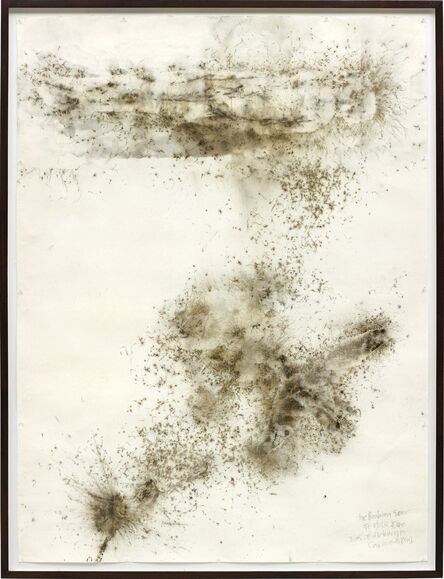 Cai Guo-Qiang 蔡国强, ‘Life Beneath the Shadow: The Brahan Seer’, 2005