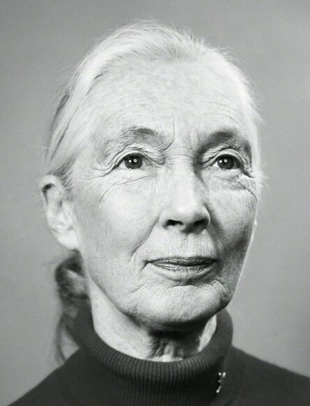 Emily Shur, ‘Jane Goodall, New York City’