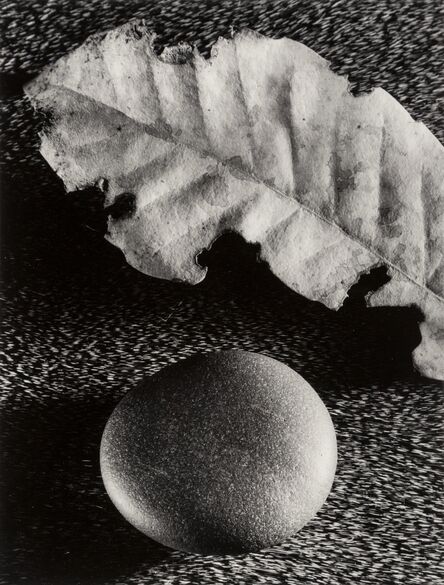 Ruth Bernhard, ‘Leaf and Stone’, 1959