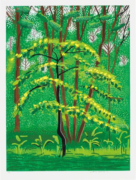 David Hockney, ‘19 May, from The Arrival of Spring in Woldgate, East Yorkshire in 2011 (twenty eleven)’, 2011