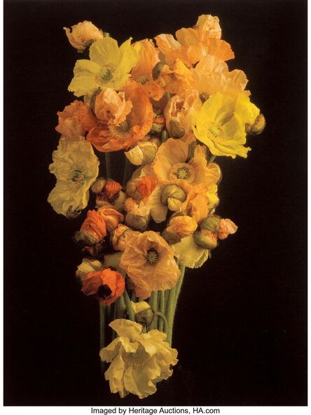 Jonathan Singer, ‘Floral bouquet of orange and yellow flowers’, 2008