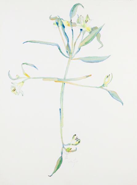 Alexandre Conefrey, ‘"Veltra Flor"’