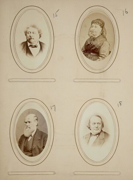 ‘Cabinet Cards’