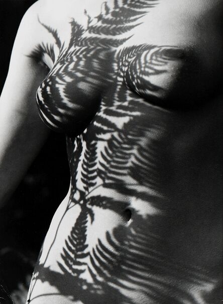 Romualda Rakauskas, ‘Fern shadow’, anni 1980