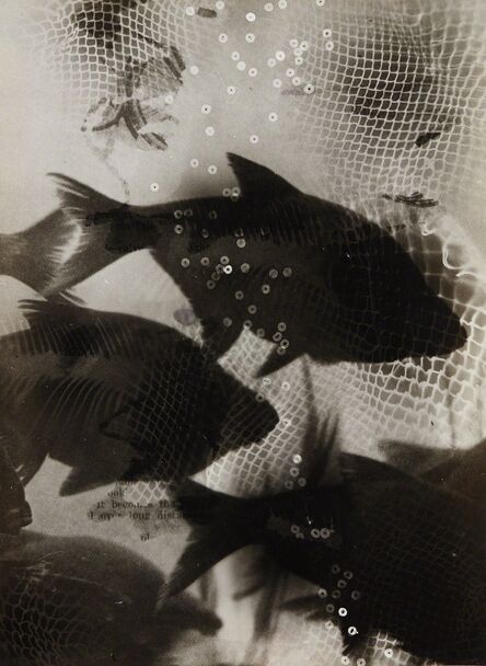 Heinz Hajek-Halke, ‘Träumende Fische (Dreaming fish)’, circa 1950