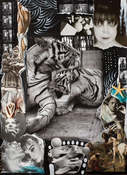 Delphine Diallo, ‘Tiger’, 2014