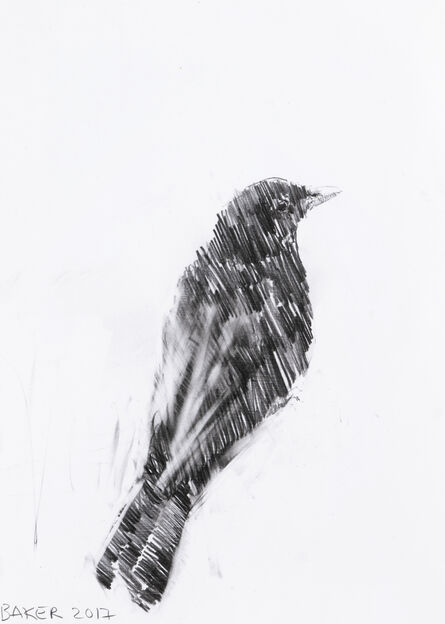 Charming Baker, ‘Bird Drawing’, 2017