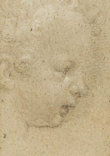 ‘Head study in profiled (recto); Study of an angel looking up (verso)’