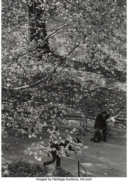 André Kertész, ‘Tree and Dog Walk’, 1967