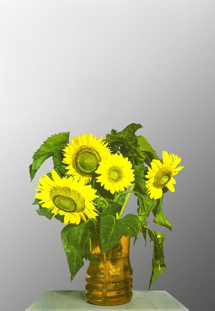 Michelangelo Pistoletto, ‘"Sunflowers"’
