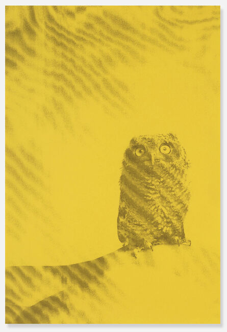 Ryan McGinley, ‘Owl poster’, 2011