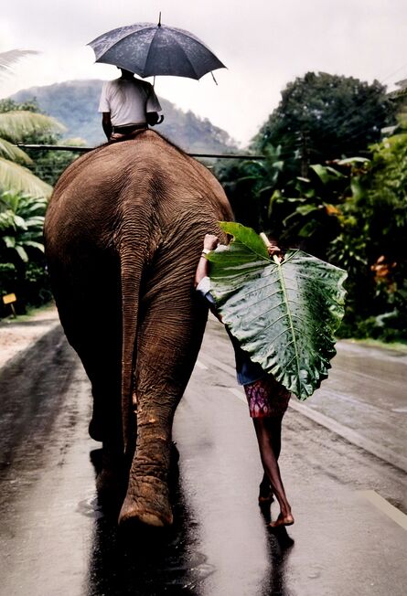 Steve McCurry, ‘Young Man Walks Behind Elephant, Sri Lanka’, 1995