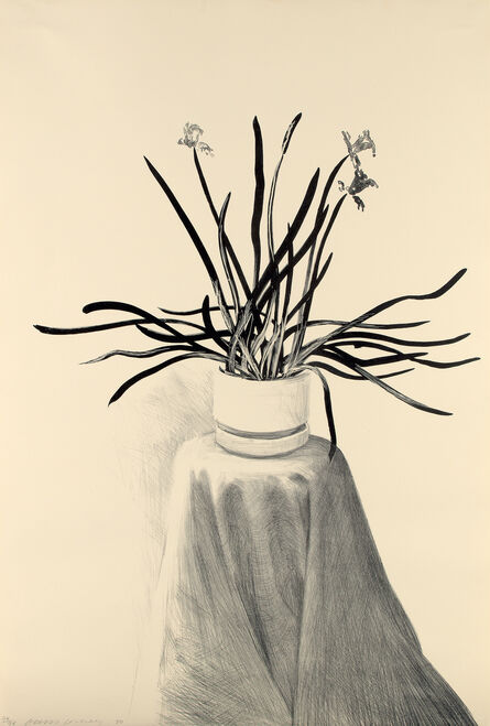 David Hockney, ‘Potted Daffodils’, 1980