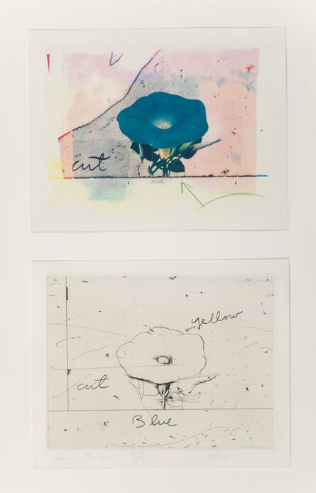 Jim Dine, ‘Morning Glory, set of two’, 1972