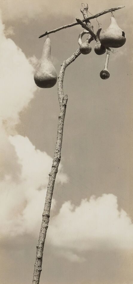 Walker Evans, ‘Gourd-nests for the Martins, Hale County, Alabama’, 1936