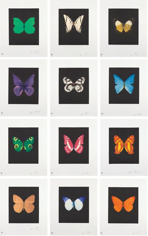 Damien Hirst, ‘Butterfly Etchings’, 2009, Print, The complete set of 12 etching and aquatints in colors, on wove paper, with full margins, the sheets loose (as issued) contained in the original black fabric-covered portfolio with embossed titles., Phillips