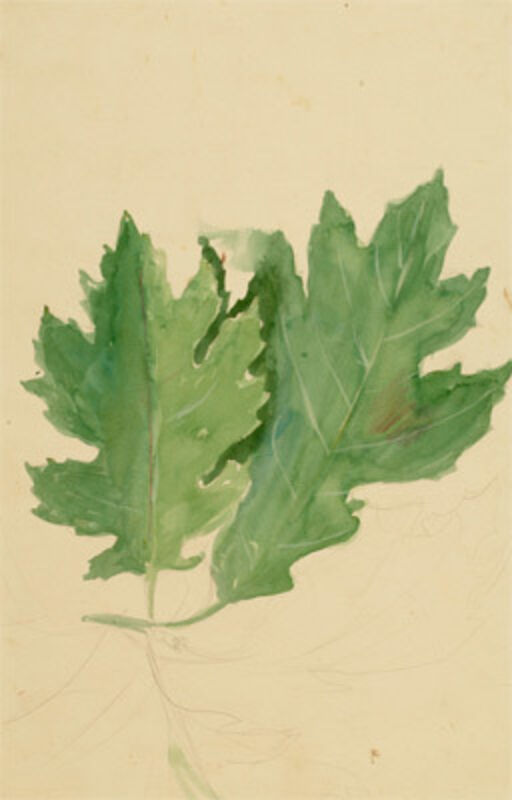 John Steuart Curry, ‘Study of Two Oak Leaves’, Drawing, Collage or other Work on Paper, Watercolor, Kiechel Fine Art