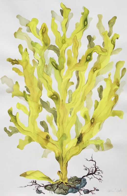 Idoline Duke, ‘Yellow Seaweed II’, 2019, Drawing, Collage or other Work on Paper, Watercolor on paper, ARC Fine Art LLC