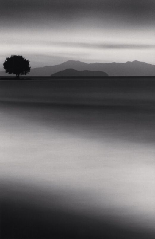 Michael Kenna, ‘Biwa Lake Tree, Omi, Honshu, Japan’, 2001, Photography, Silver Gelatin Print, Weston Gallery