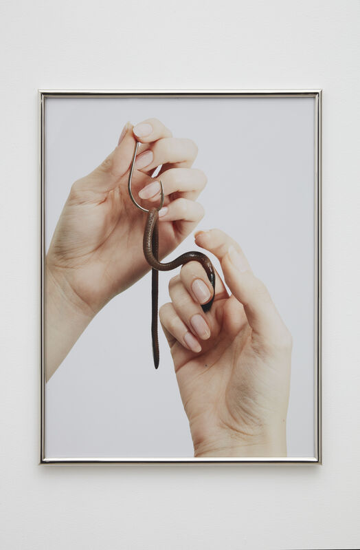 Hannah Levy, ‘Untitled’, 2020, Photography, C-print on dibond in custom nickel plated steel frame, Casey Kaplan