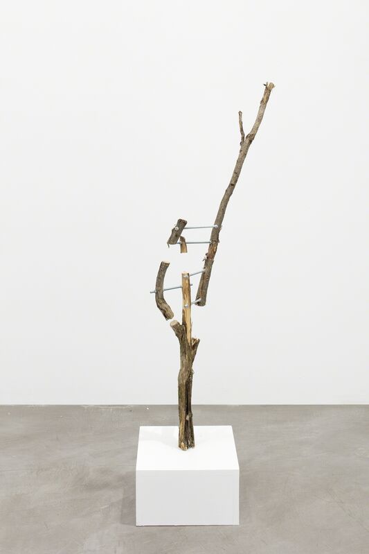 Antti Laitinen, ‘Untitled (2)’, 2017, Mixed Media, Tree, metal rod, Galerie Anhava