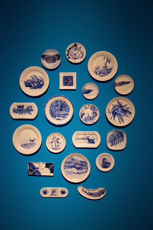 Hazel Lim, ‘A Botanical and Wildlife Survey – Singapore’, 2013, Installation, Porcelain plates with drawings, student journals and video. Video duration 10:00 mins, Singapore Art Museum (SAM)