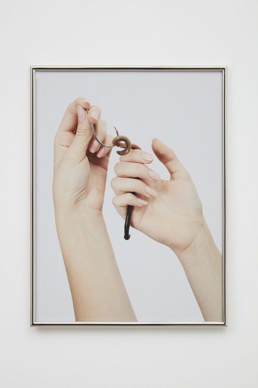 Hannah Levy, ‘Untitled’, 2020, Photography, C-print on dibond in custom nickel plated steel frame, Casey Kaplan