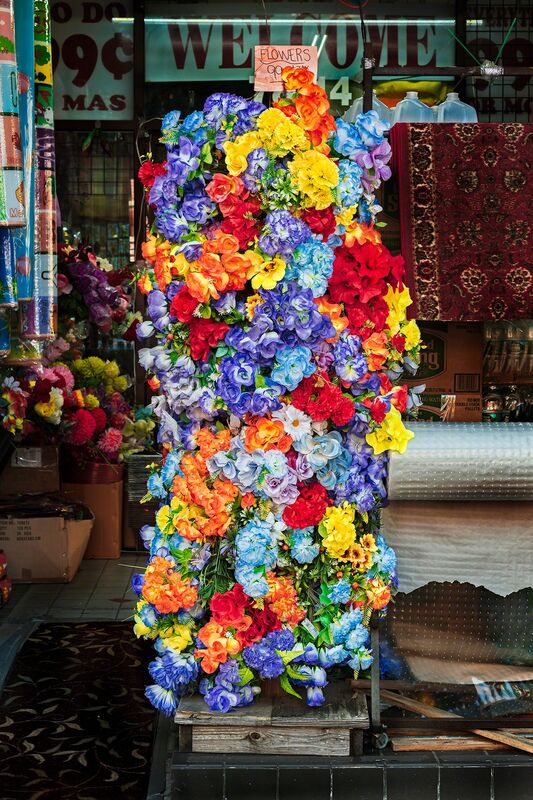 David Stock, ‘Flowers, Jackson Heights’, 2018, Photography, Pigment print, 440 Gallery 