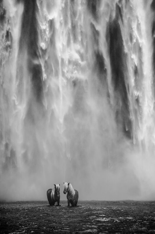 David Yarrow, ‘The Dream’, 2018, Photography, Archival pigment print on paper, Fineart Oslo