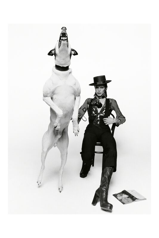 Terry O'Neill, ‘David Bowie, Diamond  Dogs, London’, 1974, Photography, Silver Gelatin Print, Gallery 270