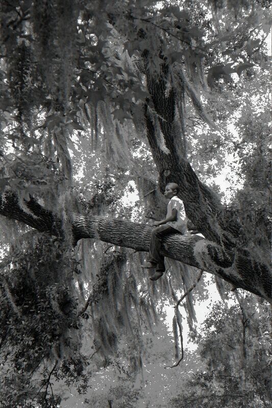 Constantine Manos, ‘Untitled, Island Boy, Daufuskie Island, South Carolina (boy in tree)’, 1952, Photography, Archival digital pigment print, Robert Klein Gallery