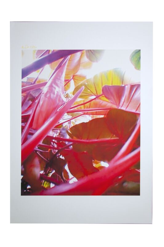 Pipilotti Rist, ‘Small Homo Plants Herself’, 2007, Print, Video still, ink print on rag paper, The Armory Show Print Archive