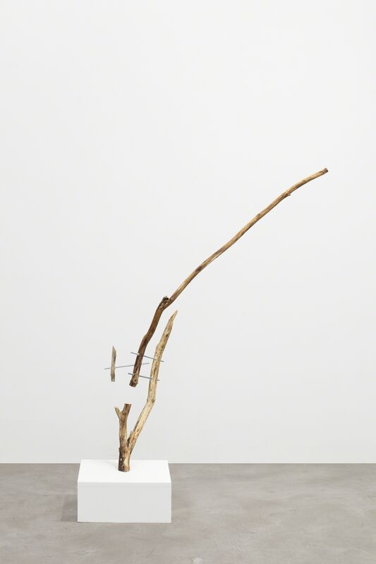 Antti Laitinen, ‘Untitled (1)’, 2017, Mixed Media, Tree, metal rod, Galerie Anhava