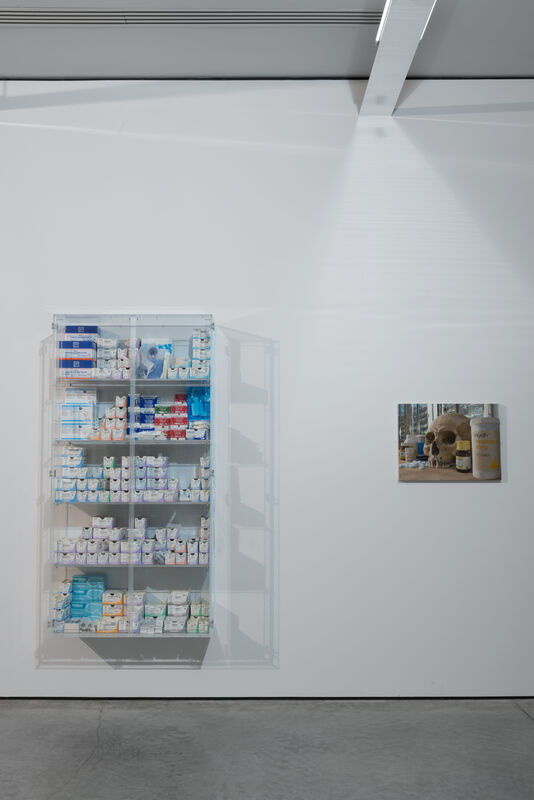 Damien Hirst, ‘Something must break’, 2008, Installation, Plexiglass and suture equipment, Gary Tatintsian Gallery