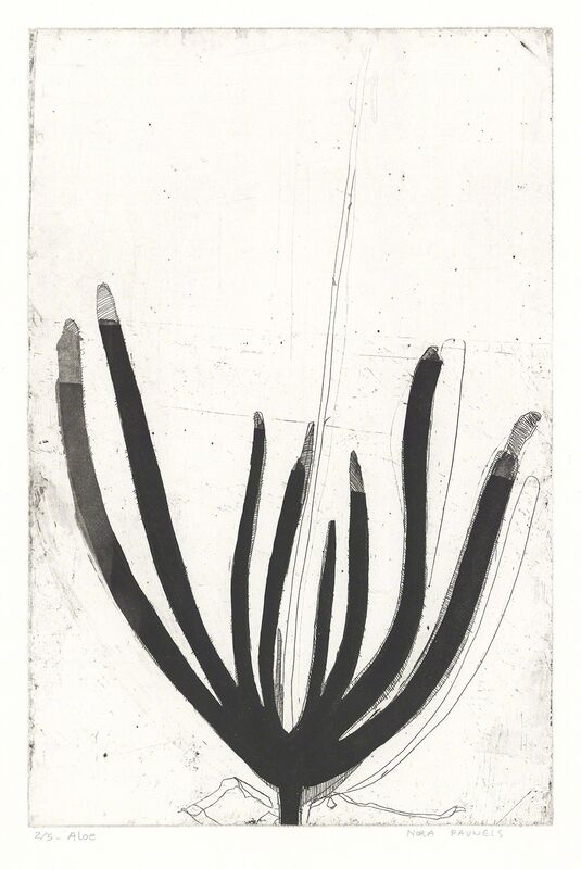 Nora Pauwels, ‘Aloe’, 2019, Print, Etching, Kala Art Institute
