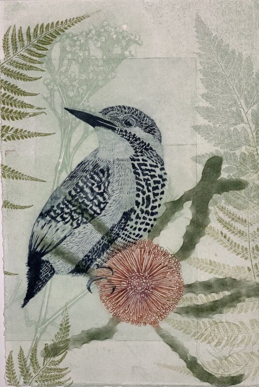 Trudy Rice, ‘King Fisher and Banskia flower’, 2019, Print, Solarplate Etching & Monotype, MELBOURNE STUDIOS #trudyrice & #lisasewards