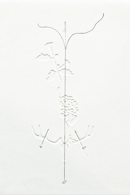 Leonardo Ramos, ‘Putrefactio’, Print, Intaglio, La Galería - Arte Contemporáneo