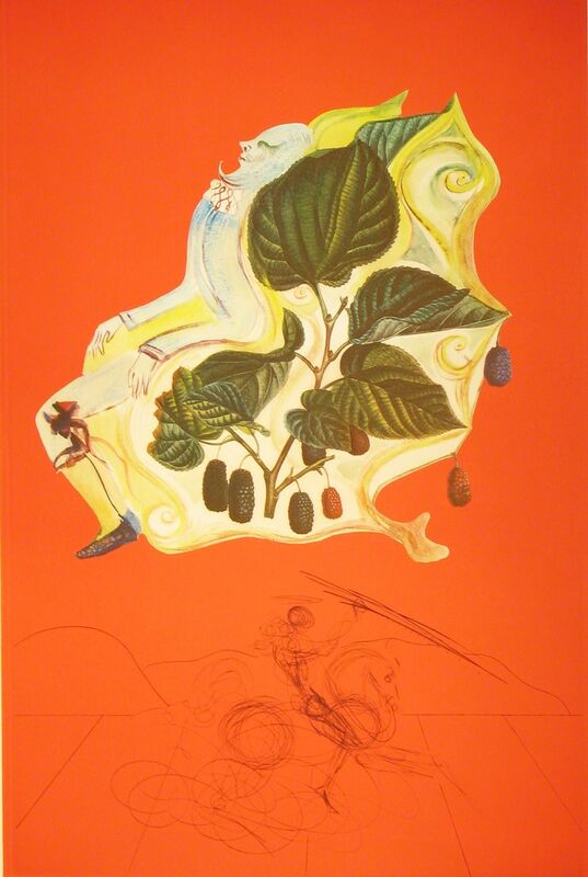 Salvador Dalí, ‘Blackberries’, 1970, Print, Lithograph with original drypoint remarque, DTR Modern Galleries