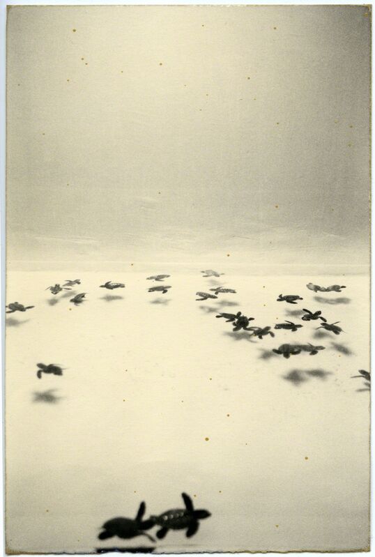 Yamamoto Masao, ‘Nakazora # 853’, 1999, Photography, Gelatin silver print, Robert Koch Gallery