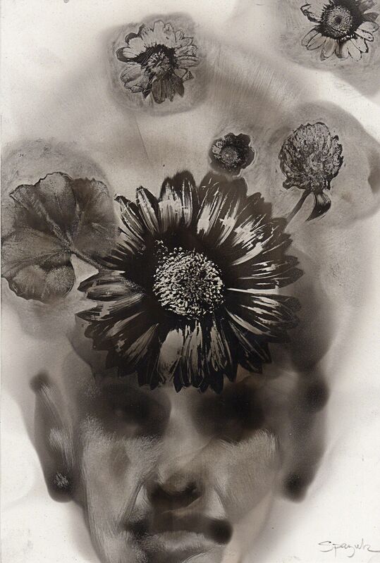 Steven Spazuk, ‘Flower Imprints’, 2016, Painting, Soot from fire on paper, Adelson Galleries