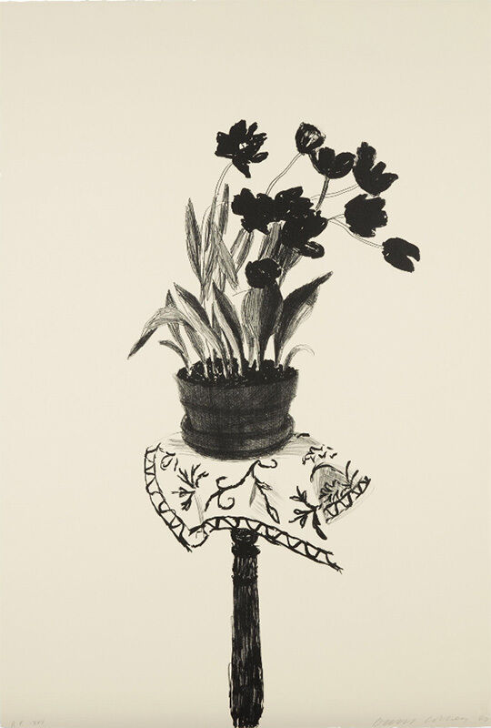 David Hockney, ‘Black Tulips’, 1980, Print, Lithograph, Mary Ryan Gallery, Inc