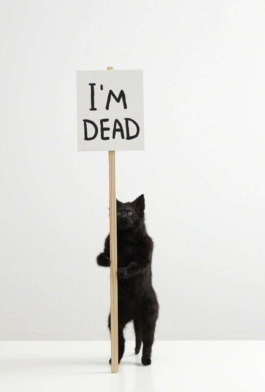 David Shrigley, ‘I'm Dead’, 2011, Sculpture, Taxidermy cat, Galleri Nicolai Wallner