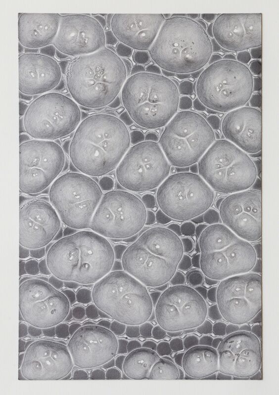 Nora Schattauer, ‘Silber spezial 14’, 2011, Drawing, Collage or other Work on Paper, Mineral solutions on chromatography paper, Galerie Rupert Pfab