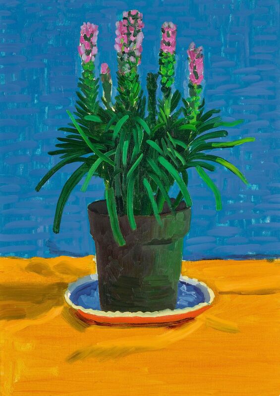 David Hockney, ‘Plant on Yellow Cloth’, 1995, Painting, Oil on canvas, Sotheby's: Contemporary Art Day Auction