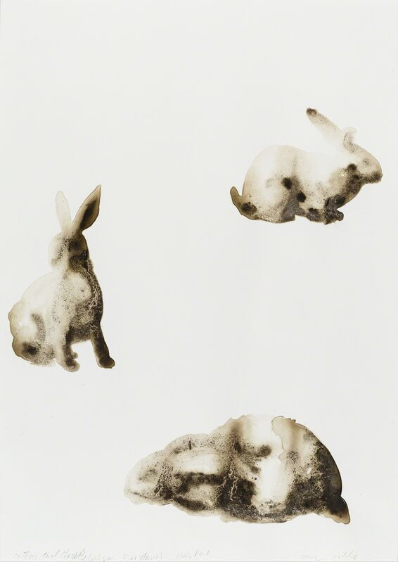 Alexis Rockman, ‘Cottontail Rabbit (Sylvilagus floridanus)’, 2014, Drawing, Collage or other Work on Paper, Soil from Hook Pond and acrylic polymer on paper, Parrish Art Museum