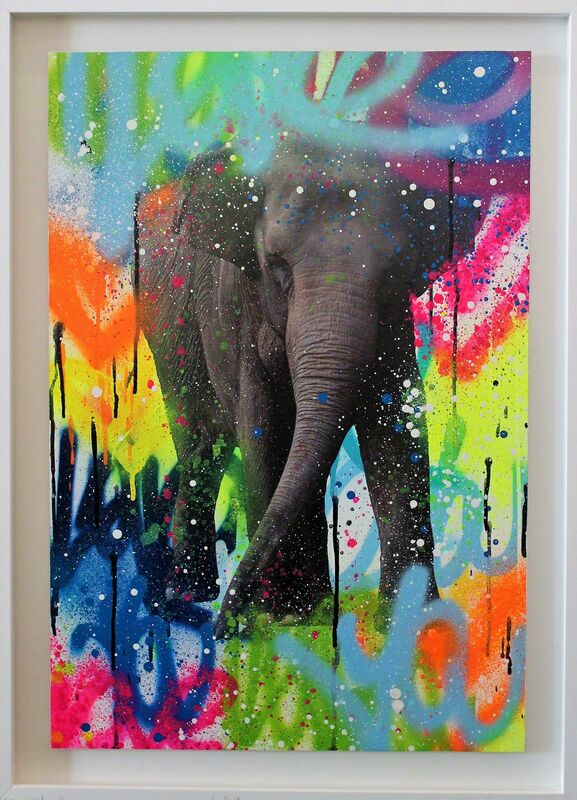 Amber Goldhammer, ‘Colorphant’, 2018, Painting, Acrylic, Photograph on Aluminum, Ethos Contemporary Art