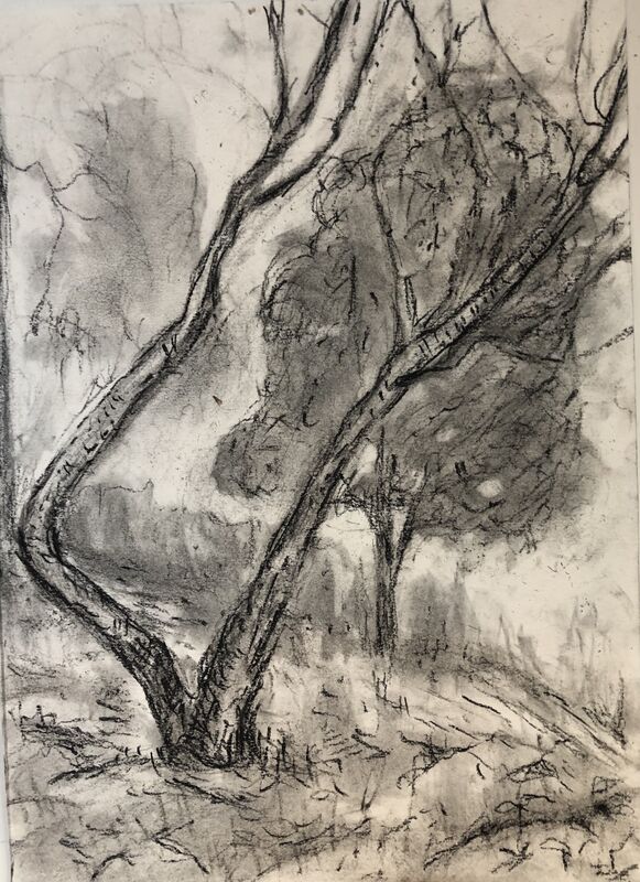 Anne Delaney, ‘Two Trees on a Hill ’, 2021, Drawing, Collage or other Work on Paper, Charcoal on paper, Bowery Gallery