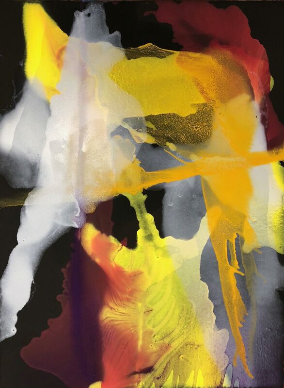 Sarah J. Berman, ‘X-Ray’, 2019, Drawing, Collage or other Work on Paper, Powdered Pigment and Oil on toned Rives BFK, The Art House Gallery