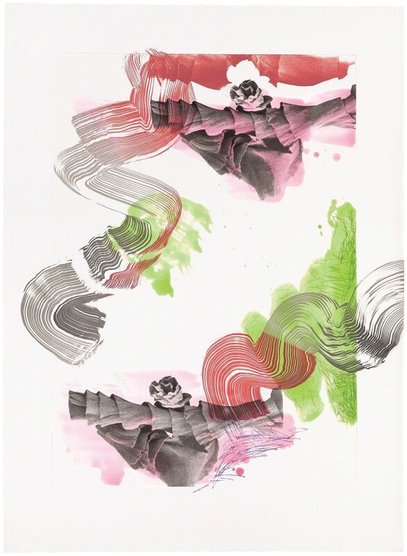 Pia Fries, ‘Falc’, 2007, Print, Color soap ground and spit bite aquatints with photogravure and roulette, Crown Point Press