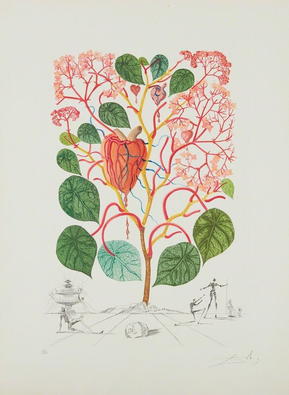 Salvador Dalí, ‘Begonia (Anacardium recordans), from Flordali® (Flora Dalinae)’, 1968, Print, Etching with drypoint in colors, on Arches paper, with full margins, Phillips